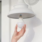 Smart Lighting A19 Smart LED Bulb